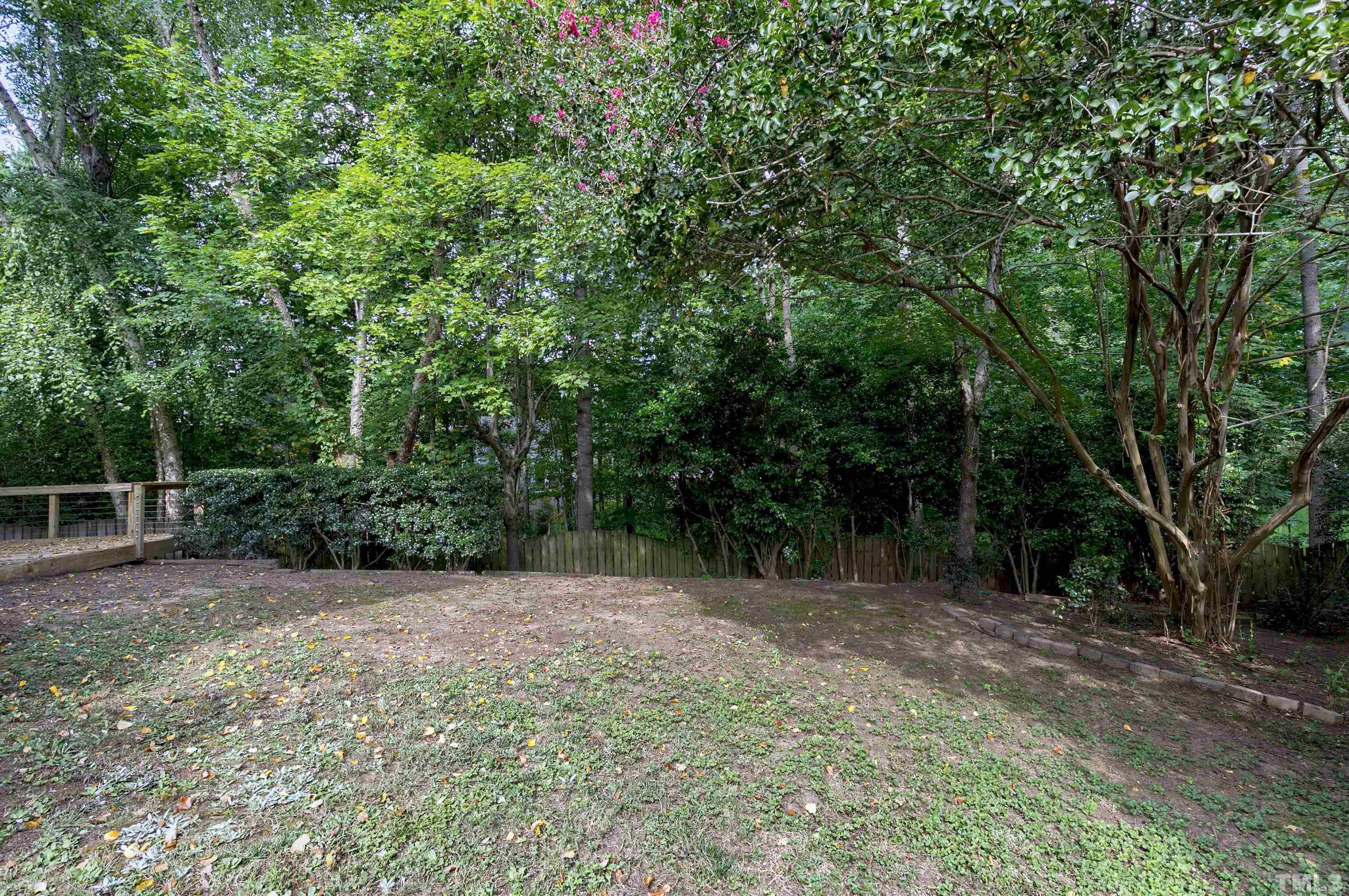 613 Branchview Drive Durham, NC 27713 - Photo 36 of 40 a view of backyard with green space
