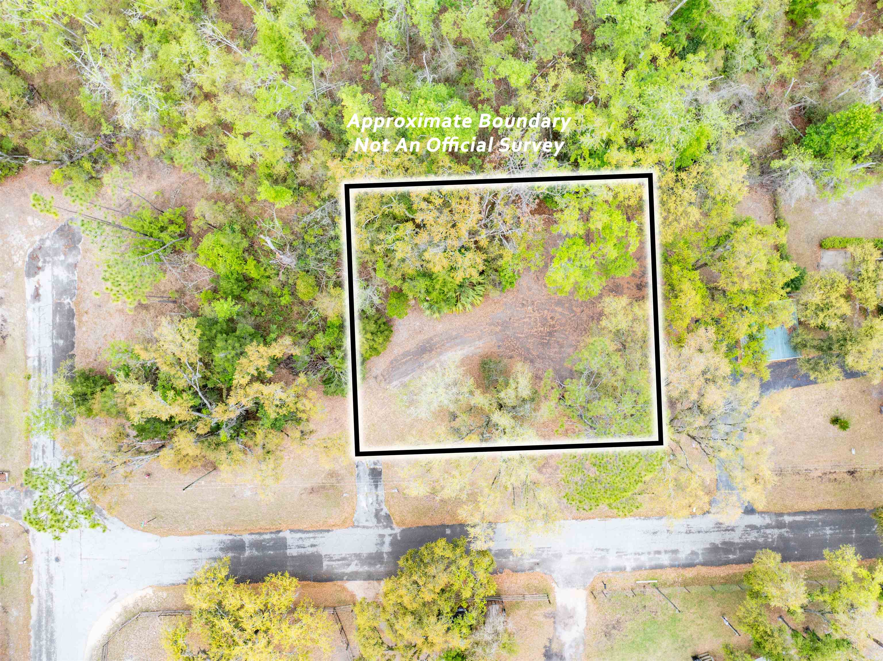 104 Crit Jones Drive Perry, FL 32348 - Photo 6 of 10