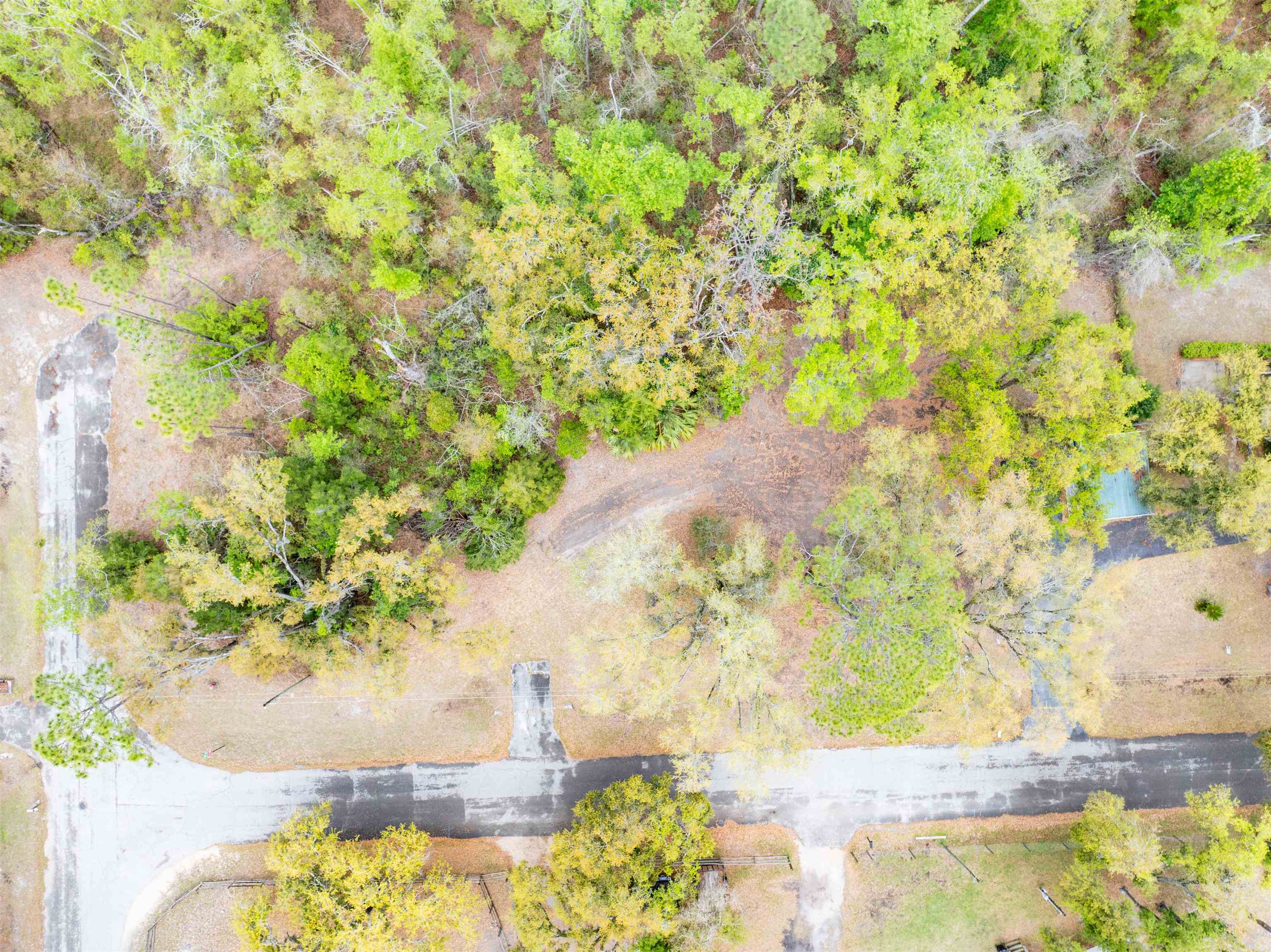 104 Crit Jones Drive Perry, FL 32348 - Photo 7 of 10