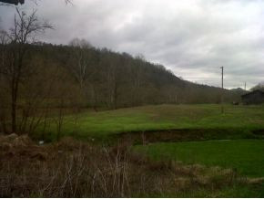 3509 Waters Edge Road Duffield, VA 24244 - Photo 3 of 7 Photo 3