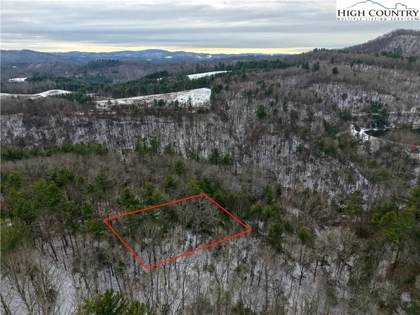 a view of a forest with a mountain and trees