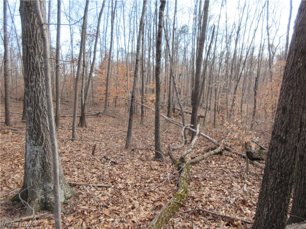 Green Valley Road Guysville, OH 45735 - Photo 5 of 15 Gallery Image 5