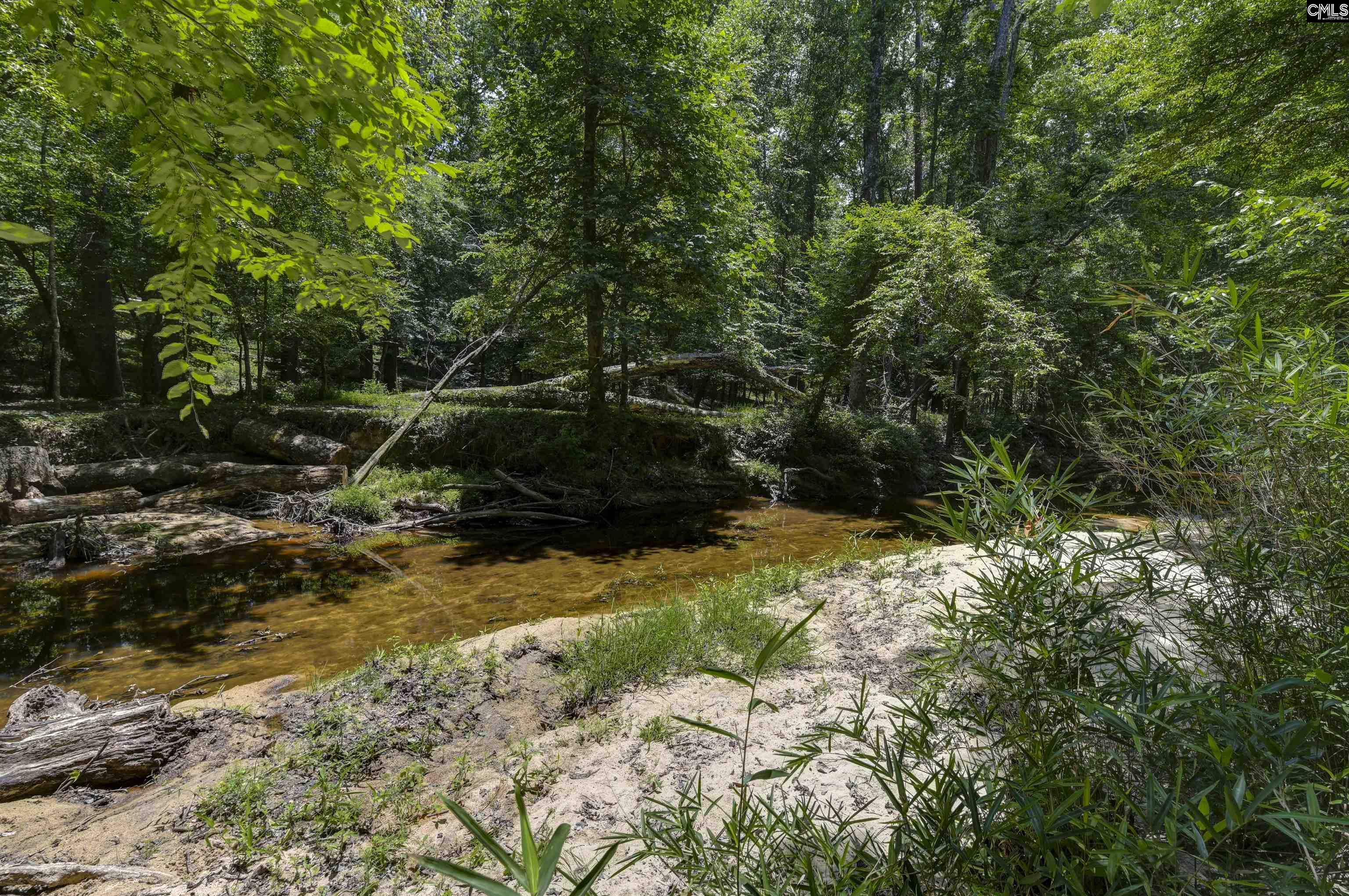 317 Horse Cove Road Gilbert, SC 29054 - Photo 32 of 86