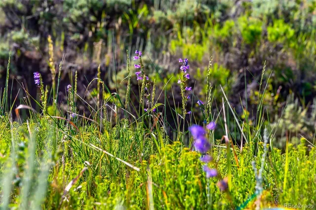 $390,000 | 400 Gcr 22313, Kremmling, CO 80459