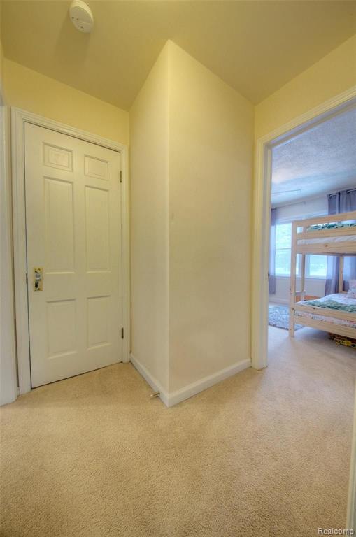 133 Riddle Street Howell, MI 48843 - Photo 19 of 53