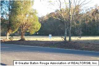 0 Coontrap Road Gonzales, LA 70737 - Photo 1 of 1 Gallery Image 1