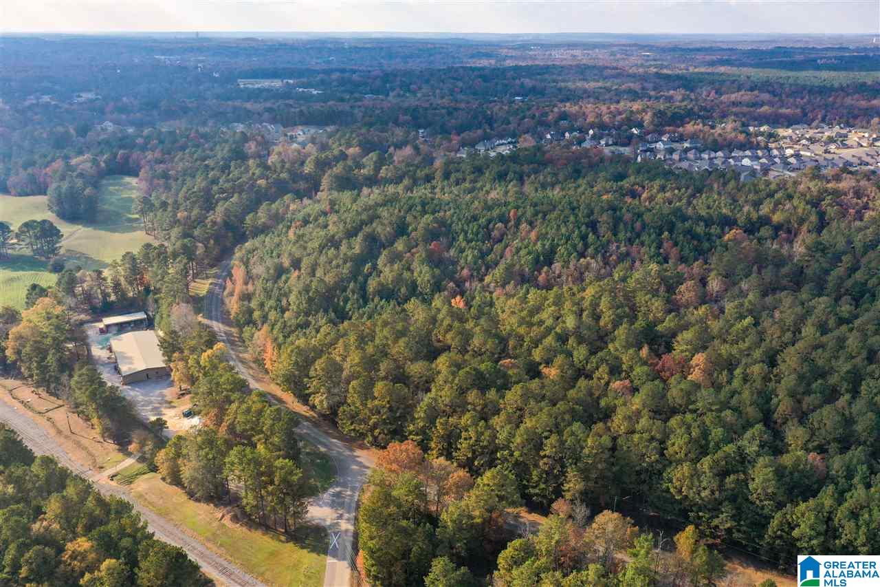 0 County Road 306 Calera, AL 35040 - Photo 6 of 9