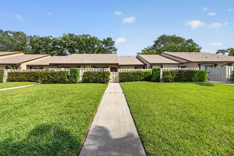a view of a yard with potted plants