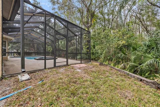 a view of a park with large trees