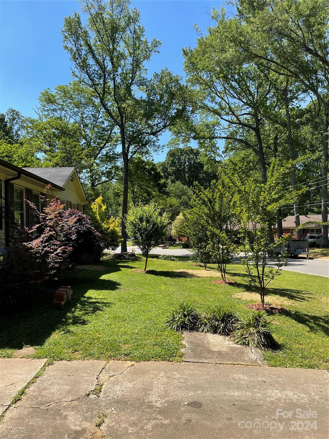 2508 Dora Drive Charlotte, NC 28215 - Photo 2 of 18 a view of a park with large trees