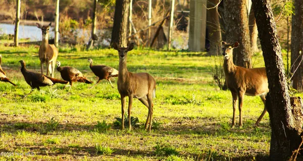 $689,000 | 970 East Waterway Drive, Belhaven, NC 27810