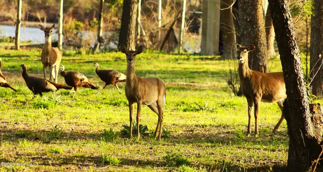 $699,000 | 970 East Waterway Drive, Belhaven, NC 27810