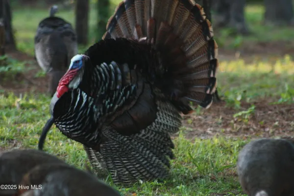 $689,000 | 970 East Waterway Drive, Belhaven, NC 27810