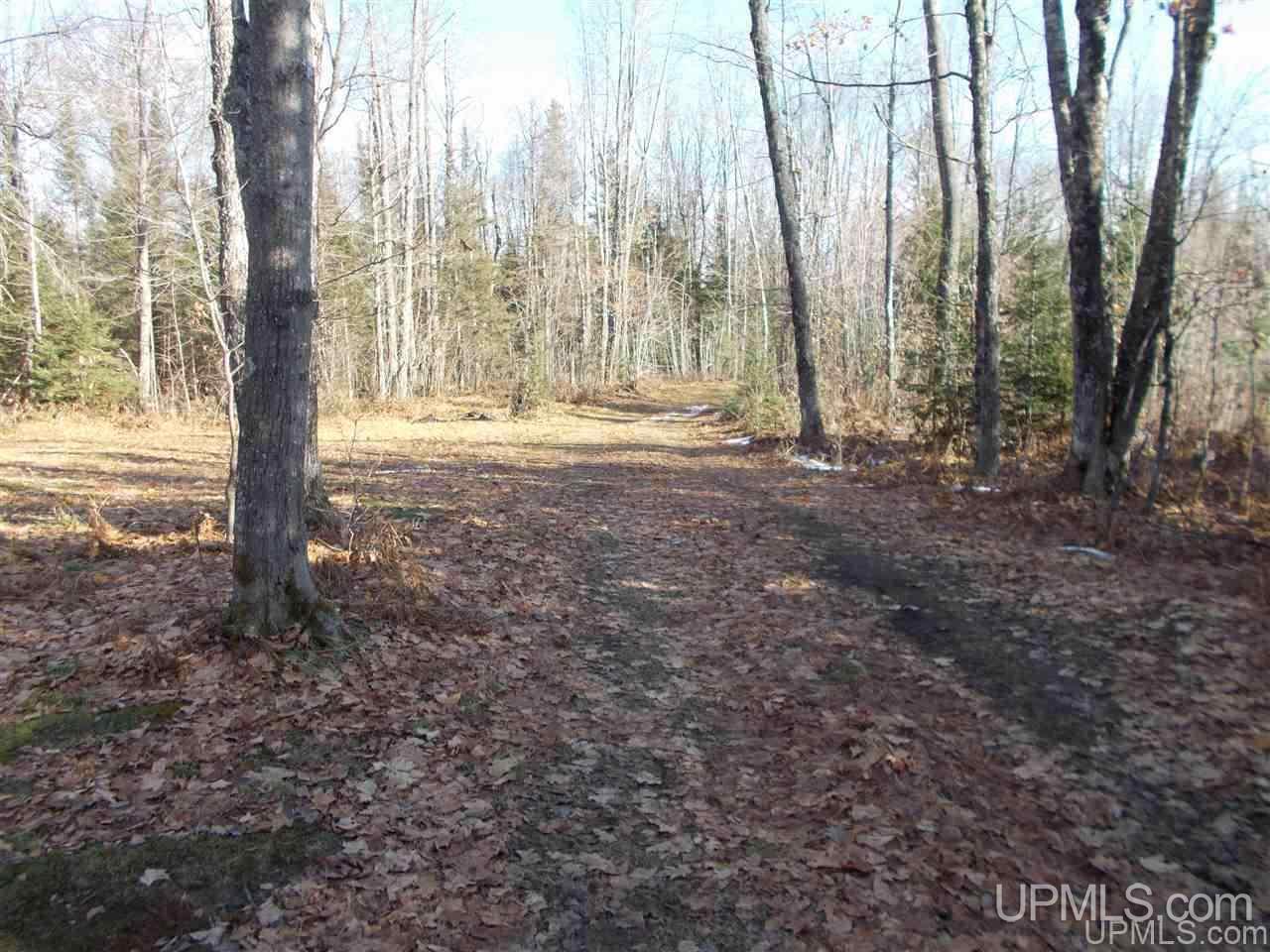 Tbd Tbd Co Road Ishpeming, MI 49849 - Photo 17 of 29