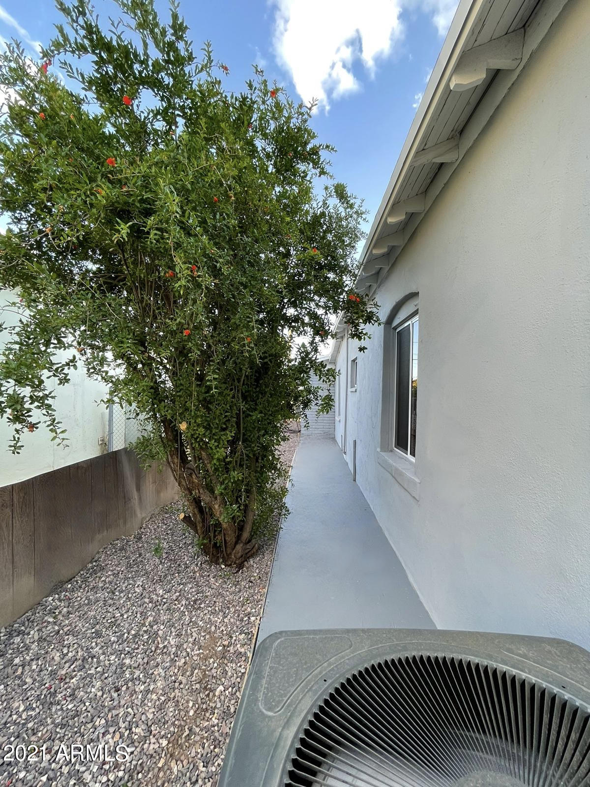 637 East 16th Street Douglas, AZ 85607 - Photo 5 of 29 Side Yard