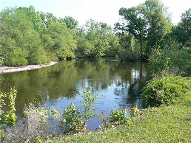 0 Squirrel Road Branchville, SC 29432 - Photo 3 of 3 Additional Photo