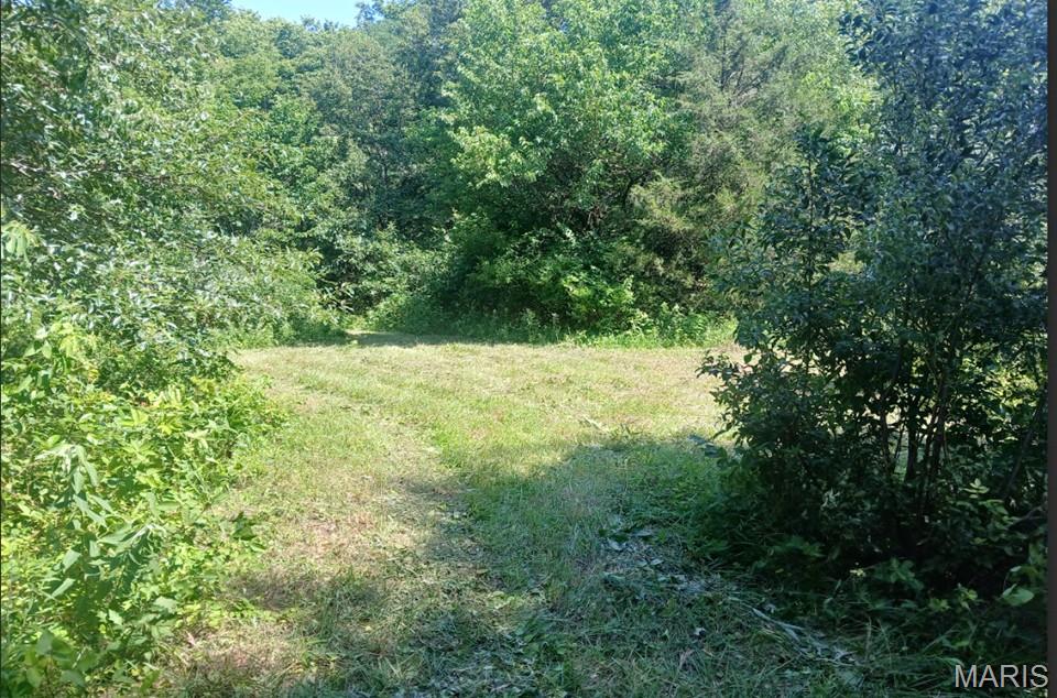 0 Silver Creek Road Alhambra, IL 62001 - Photo 12 of 23