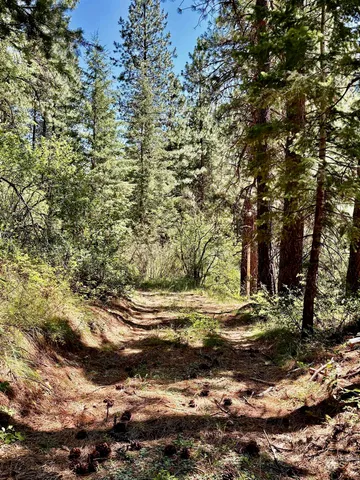 $250,000 | 4966 Highway 95, New Meadows, ID 83654