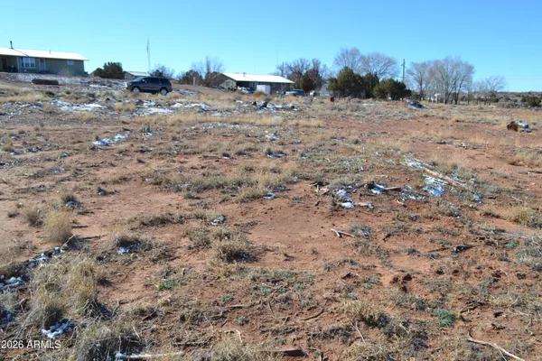 a view of a dry space with lots of trees
