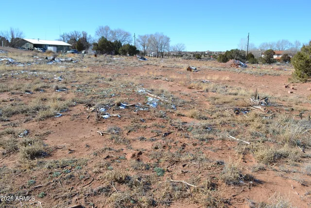 a view of dirt field with large trees