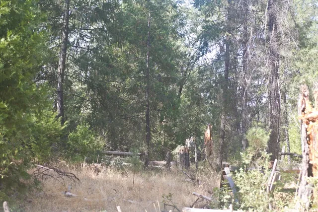 $90,000 | 4801 Coyoteville Lane, Fiddletown, CA 95629