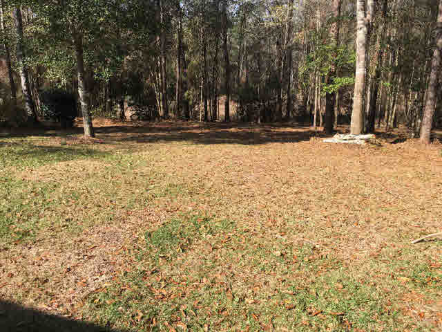 11067 Lake Circle Daphne, AL 36526 - Photo 27 of 27