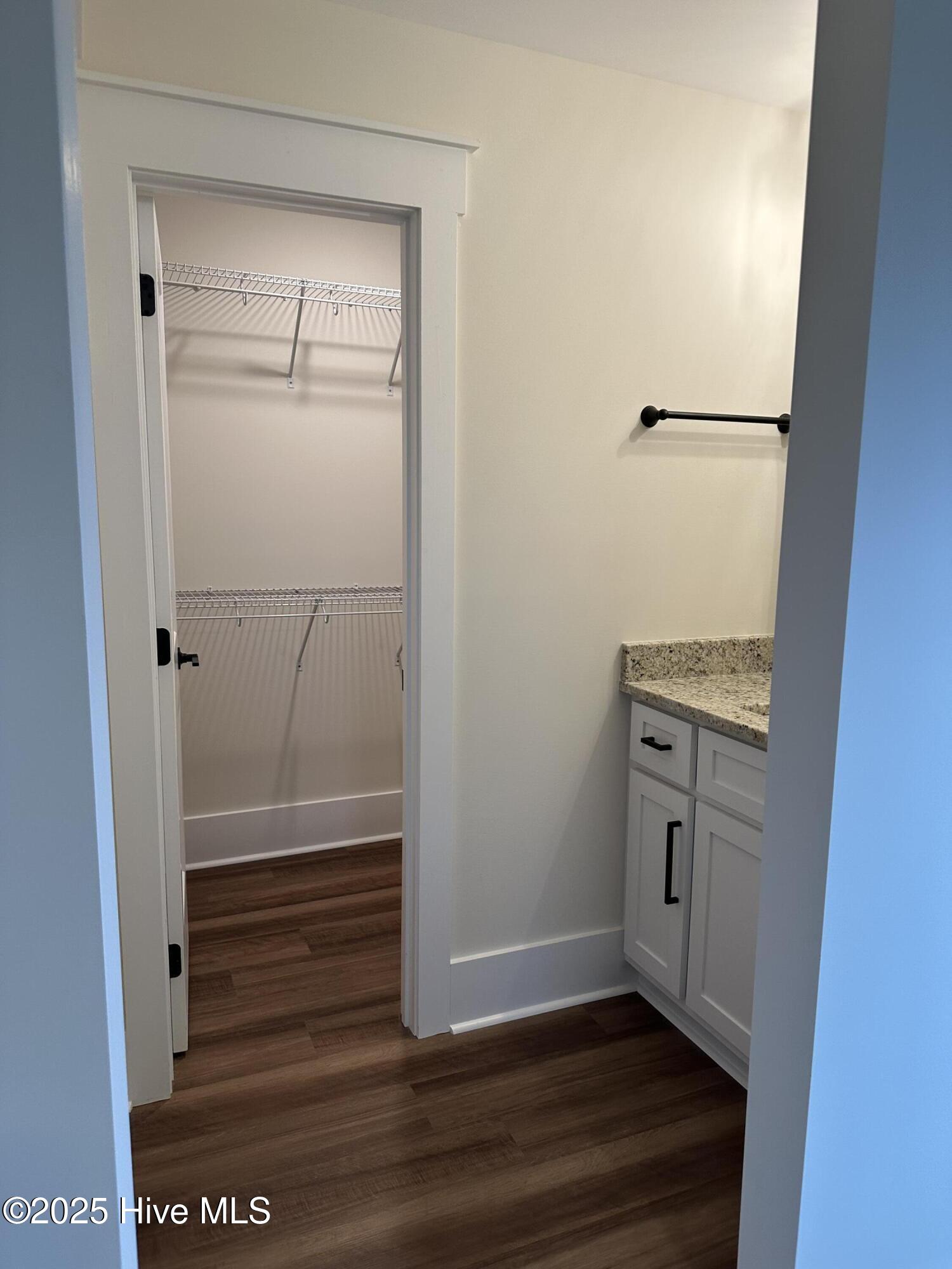 147 Conover Road La Grange, NC 28551 - Photo 30 of 34 Jack & Jill vanity, walk in closet