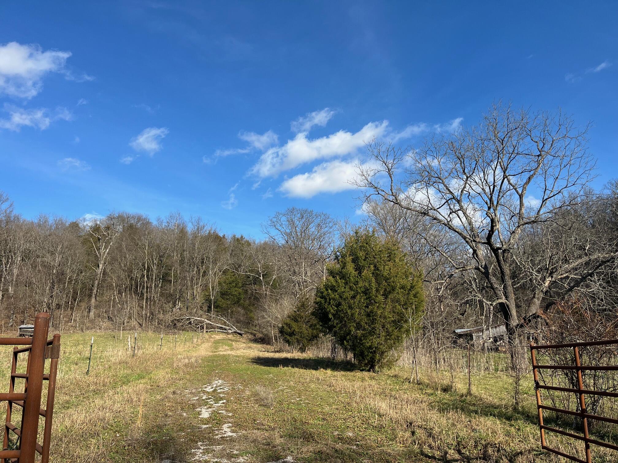 615 Thomas Hollow Road Exeter, MO 65647 - Photo 4 of 82 Welcome to Thomas Hollow 76 acres