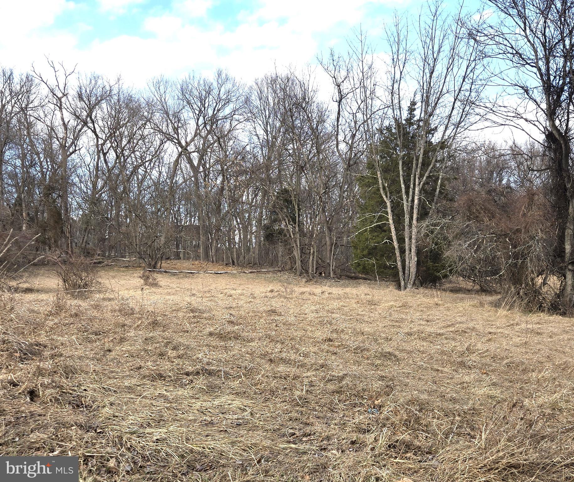 1 F Steamboat Run Road Shepherdstown, WV 25443 - Photo 2 of 10 Perfect to Build Your Dream Home on 1.55 Acres