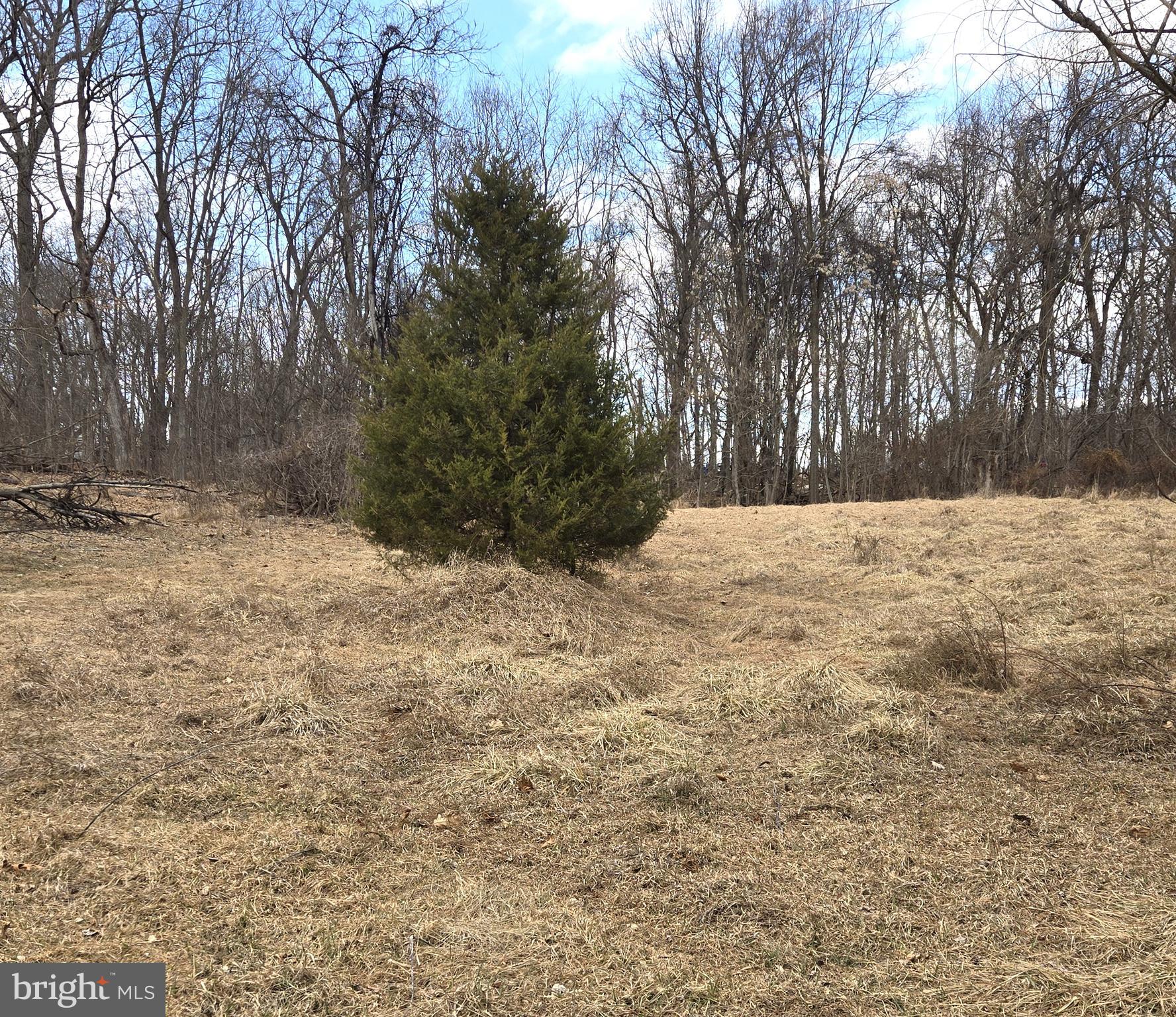 1 F Steamboat Run Road Shepherdstown, WV 25443 - Photo 4 of 10 Lot View