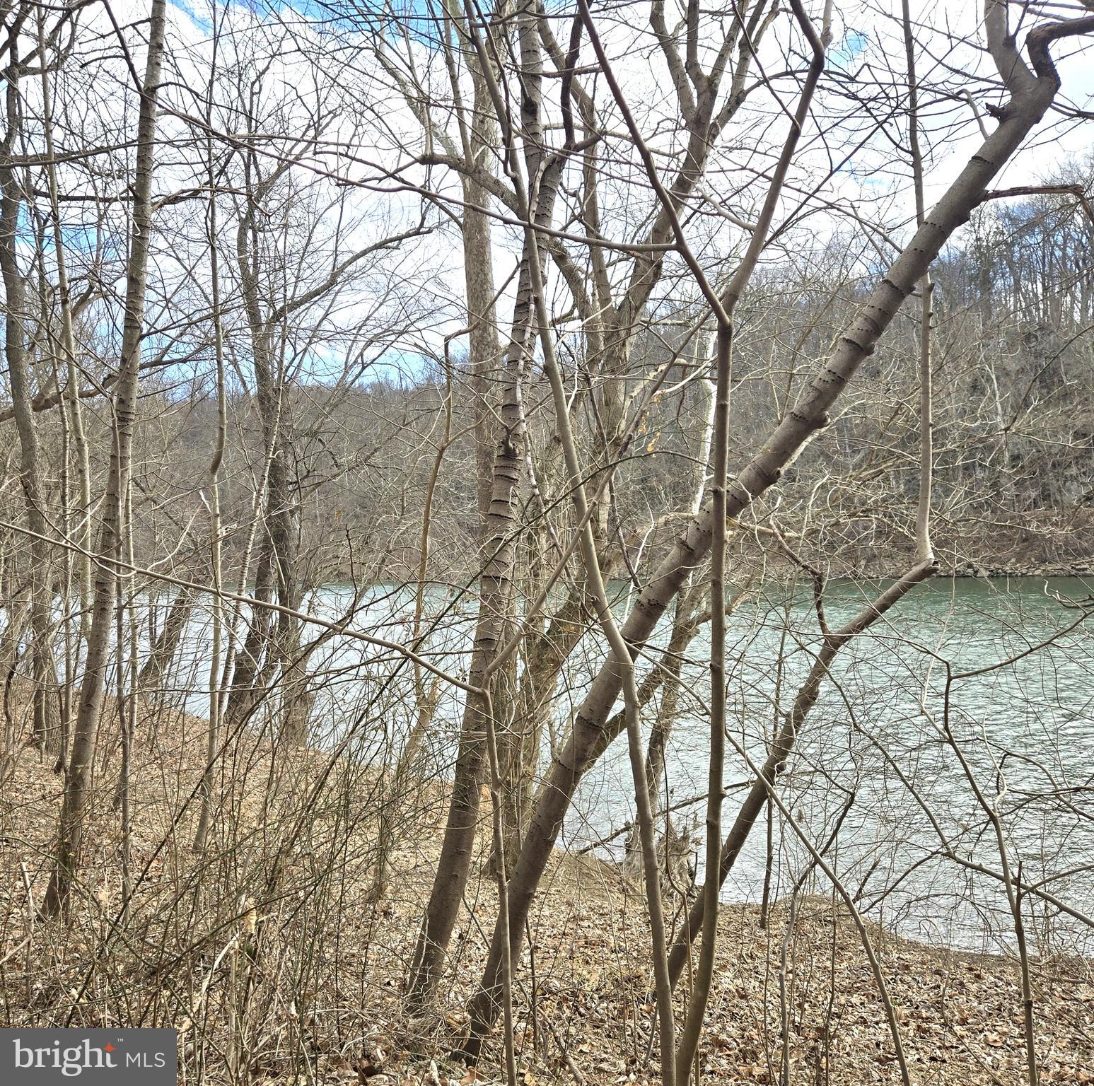 1 F Steamboat Run Road Shepherdstown, WV 25443 - Photo 6 of 10 River View