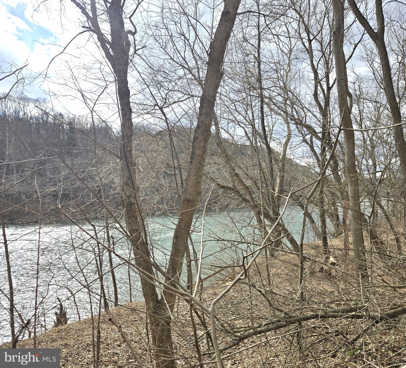 1 F Steamboat Run Road Shepherdstown, WV 25443 - Photo 7 of 10 River View