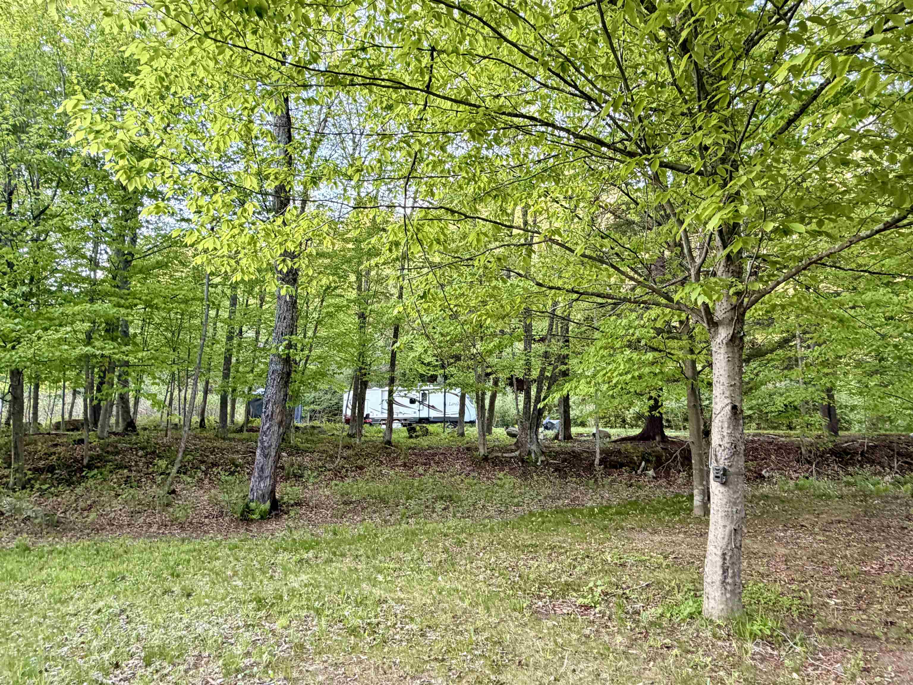 250 Fenton Road Chester, VT 05143 - Photo 14 of 29