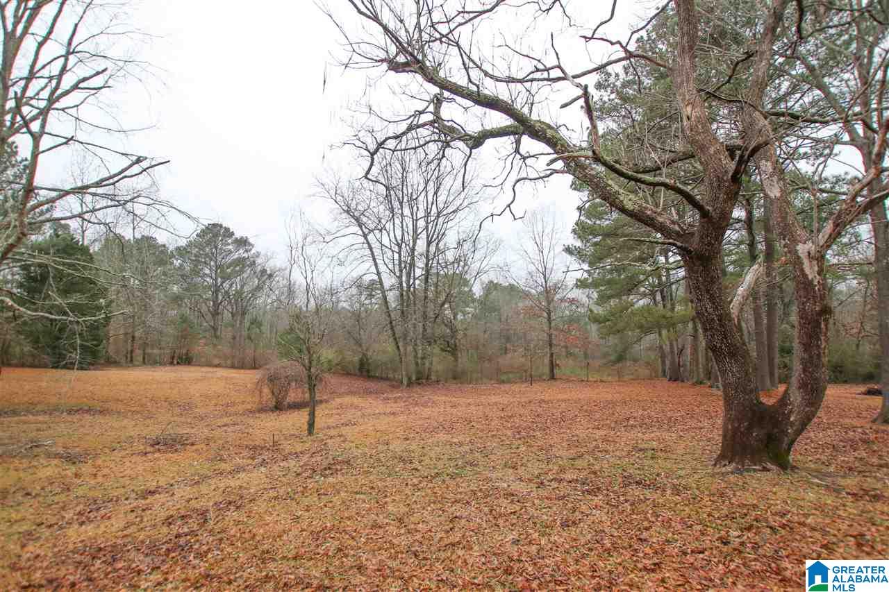 1014 Bryan Road Sumiton, AL 35148 - Photo 44 of 47 Gallery Image 44