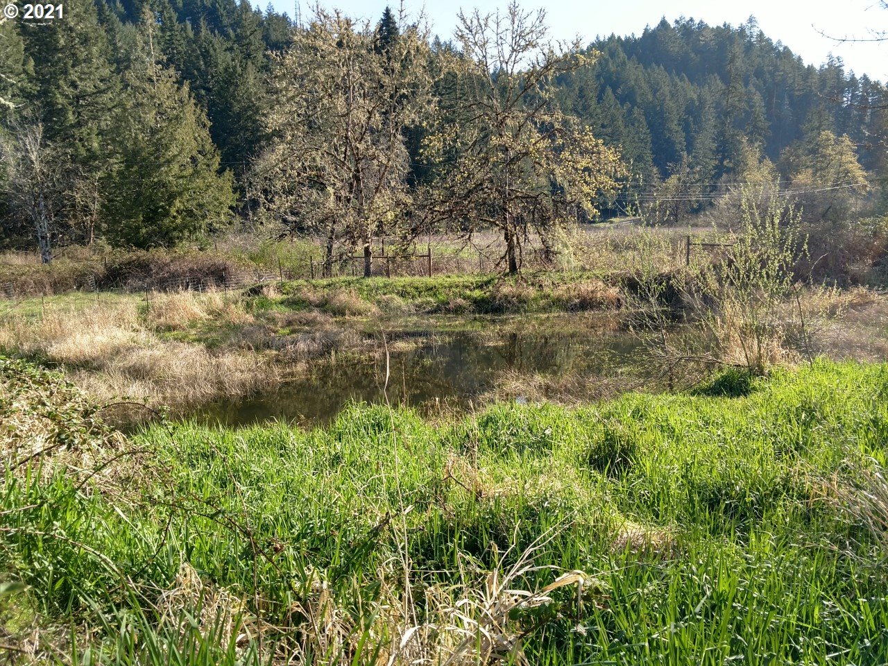 2747 Cox Road Yoncalla, OR 97499 - Photo 23 of 23