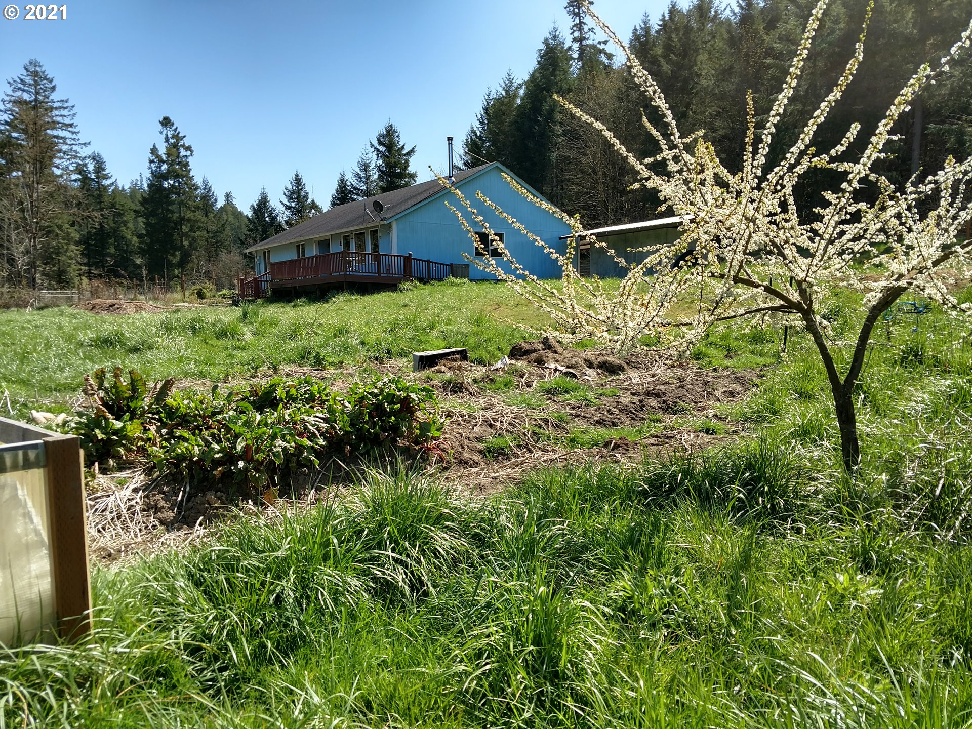 2747 Cox Road Yoncalla, OR 97499 - Photo 8 of 23