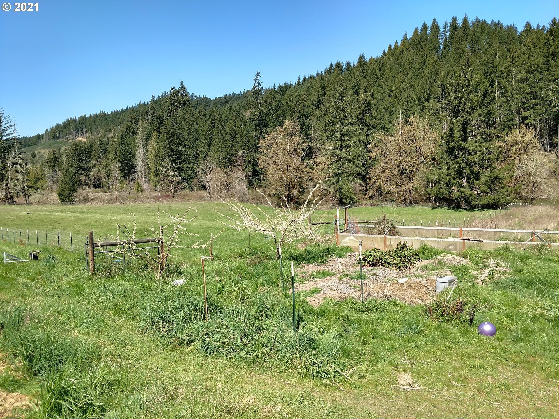 2747 Cox Road Yoncalla, OR 97499 - Photo 9 of 23
