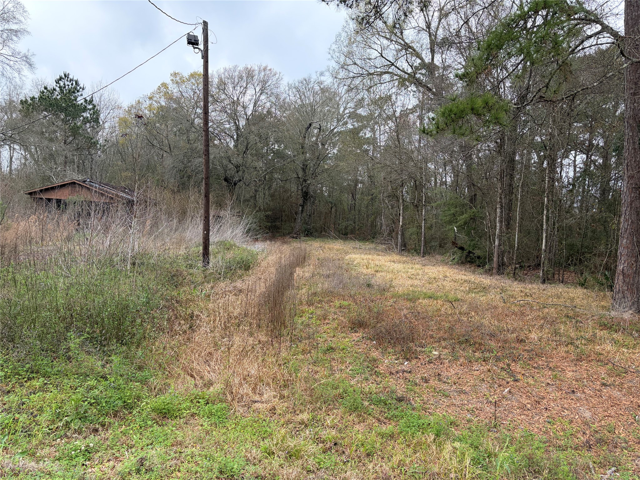 1345 3rd Street Vidor, TX 77662 - Photo 2 of 3