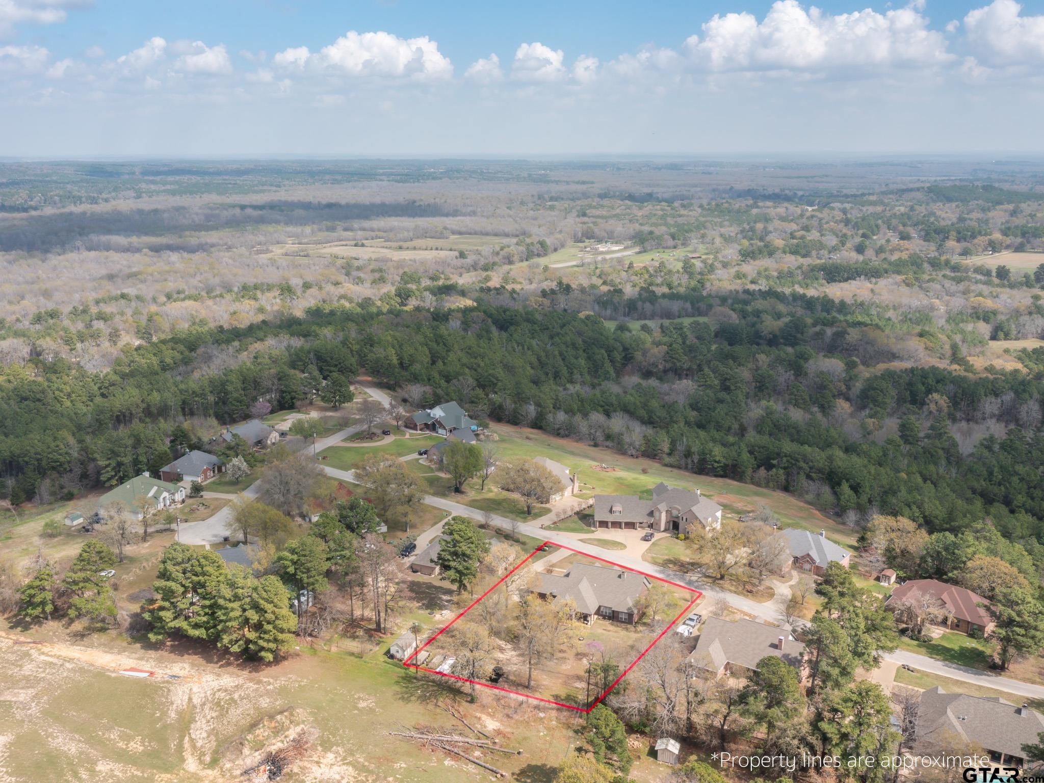 11201 Skyline Drive Brownsboro, TX 75756 - Photo 14 of 39 a view of a lake with a mountain