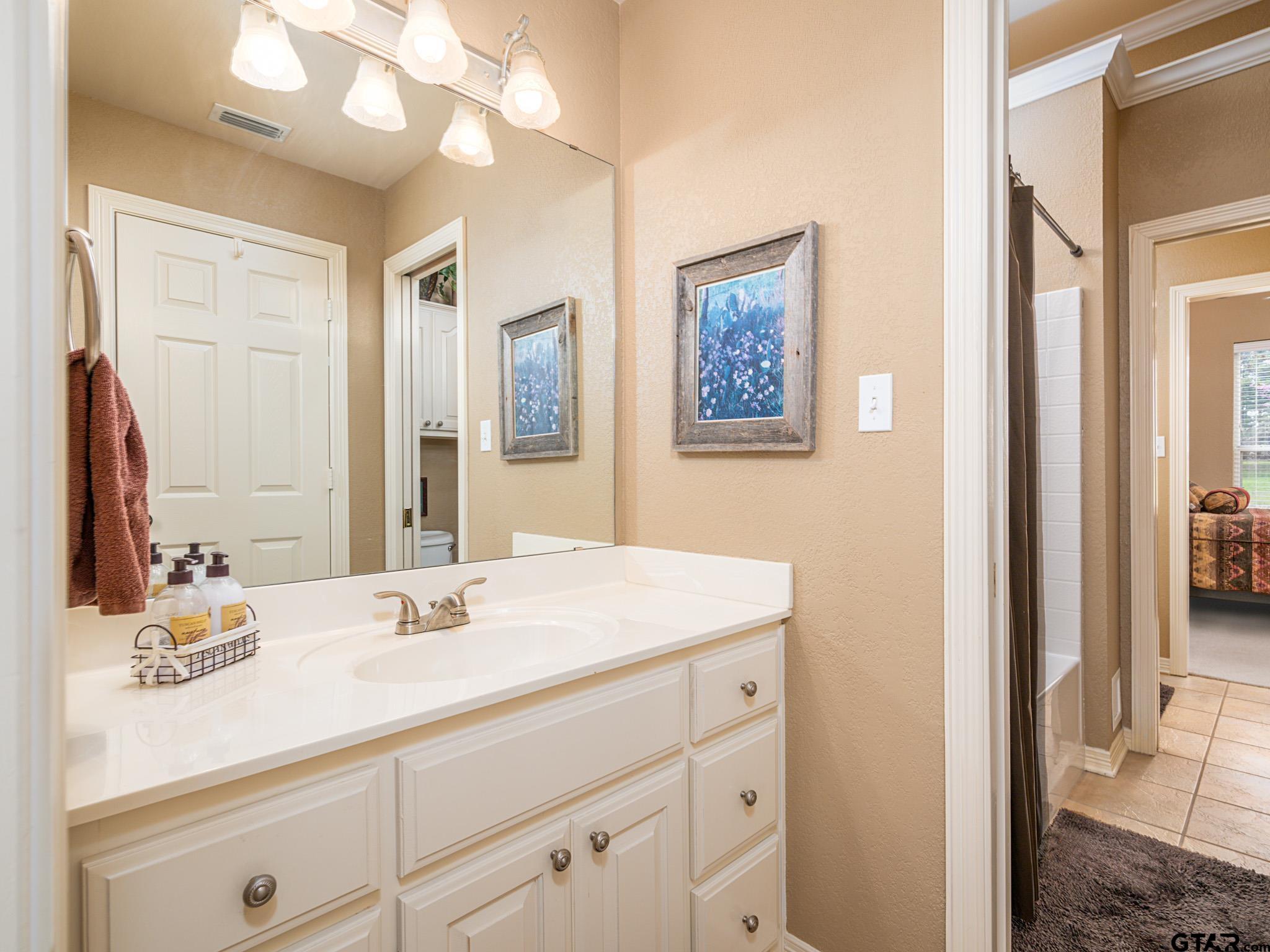11201 Skyline Drive Brownsboro, TX 75756 - Photo 35 of 39 a bathroom with a sink vanity and a mirror