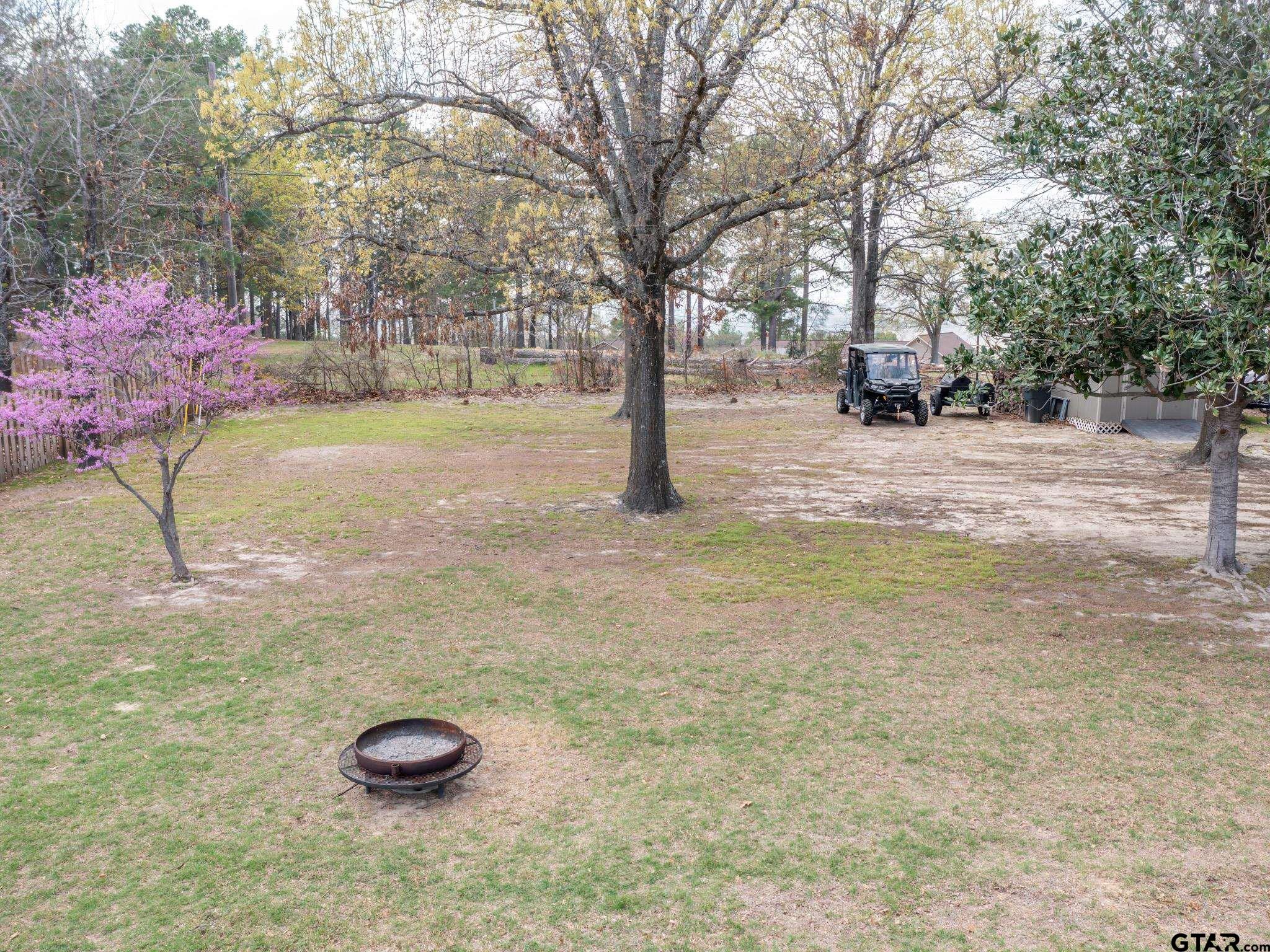 11201 Skyline Drive Brownsboro, TX 75756 - Photo 10 of 39 a view of yard with tree