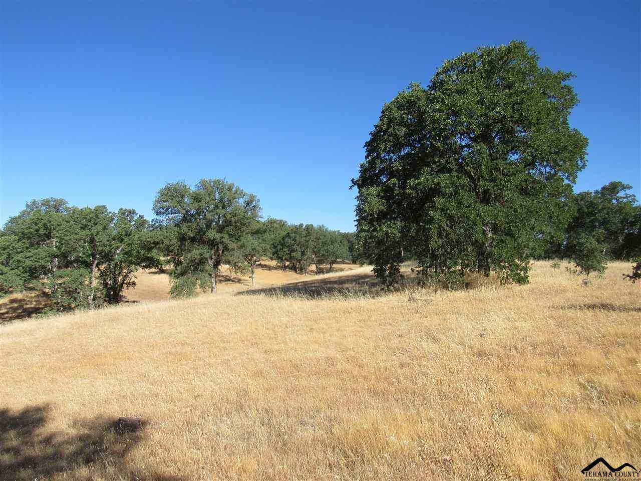 Aaaa Mccoy Road Cottonwood, CA 96022 - Photo 2 of 4