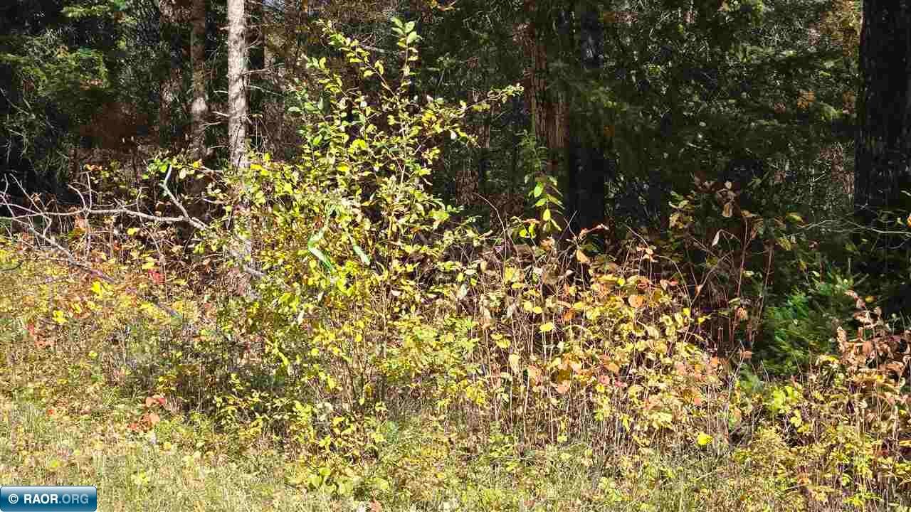 28.9 Rangeline Road Orr, MN 55771 - Photo 24 of 24 Gallery Image 24