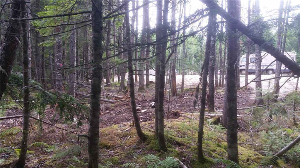 0 Boyce Cove Road Lakeville, ME 04487 - Photo 6 of 16 Flat, even lot already for your...