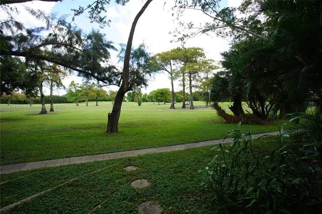 a view of a park with large trees