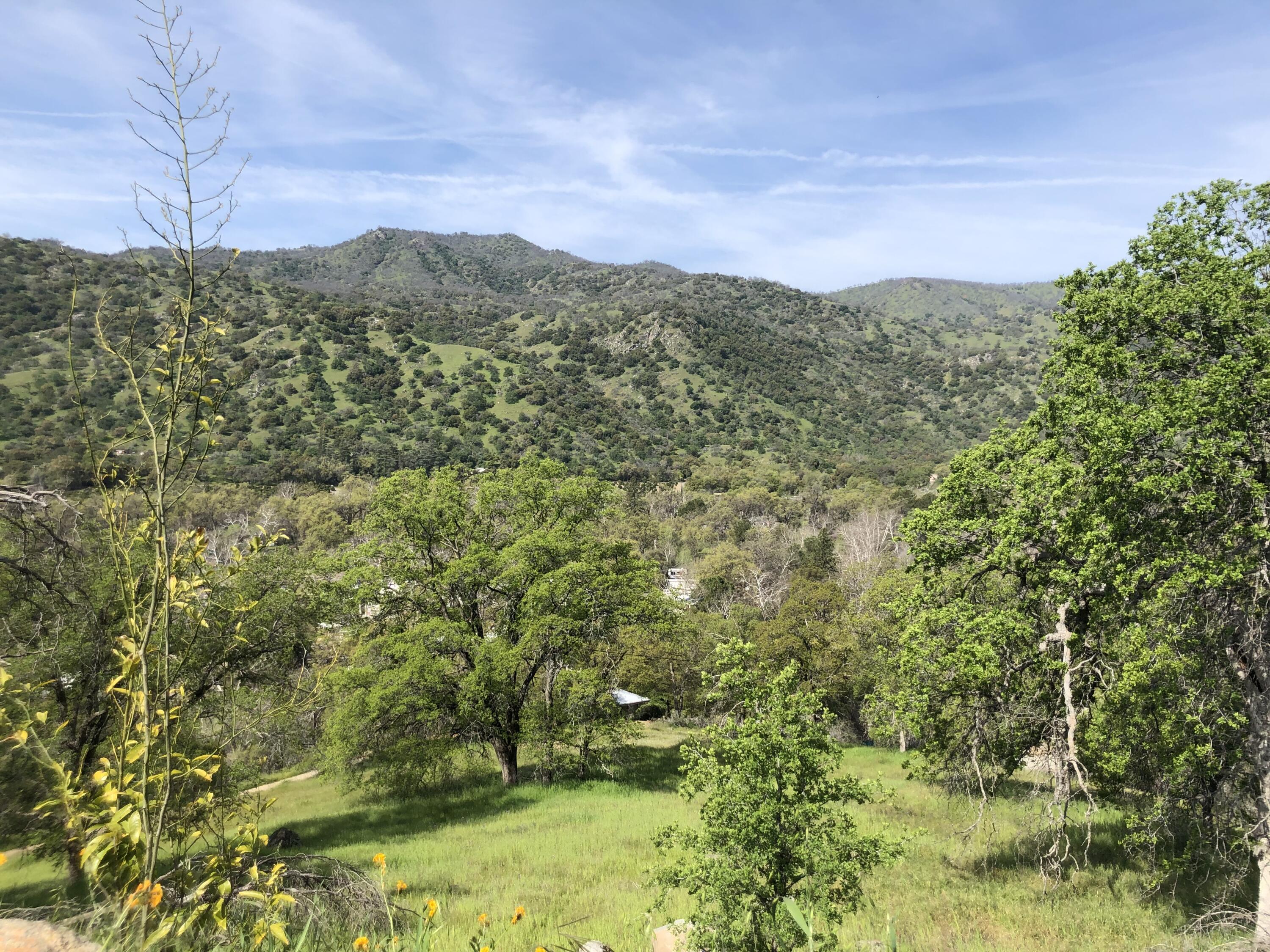 0 North Kaweah River Drive Three Rivers, CA 93271 - Photo 39 of 78 IMG_7887
