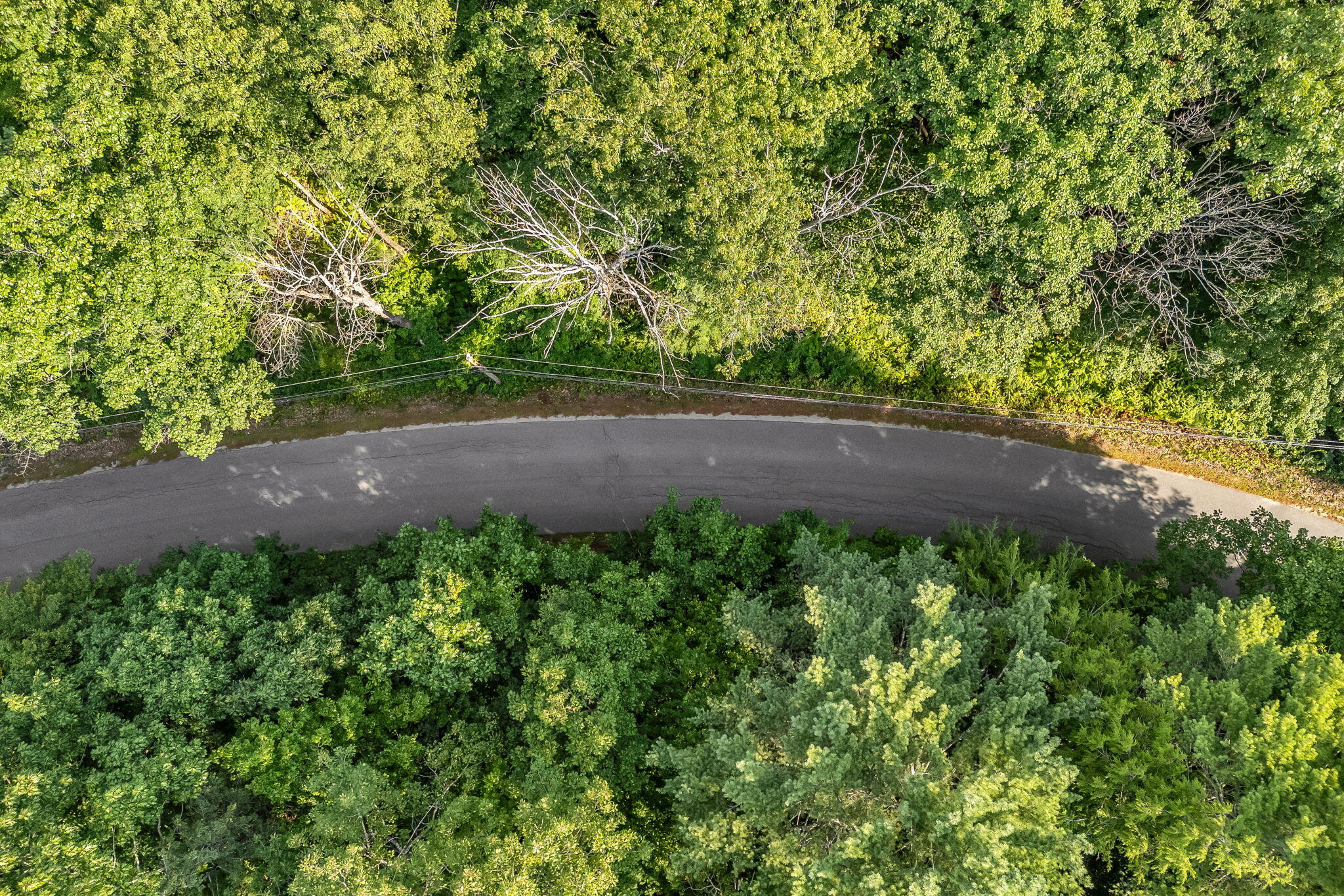 0 Sedgley Road Greene, ME 04236 - Photo 12 of 18 9-web-or-mls-sedgley-rd