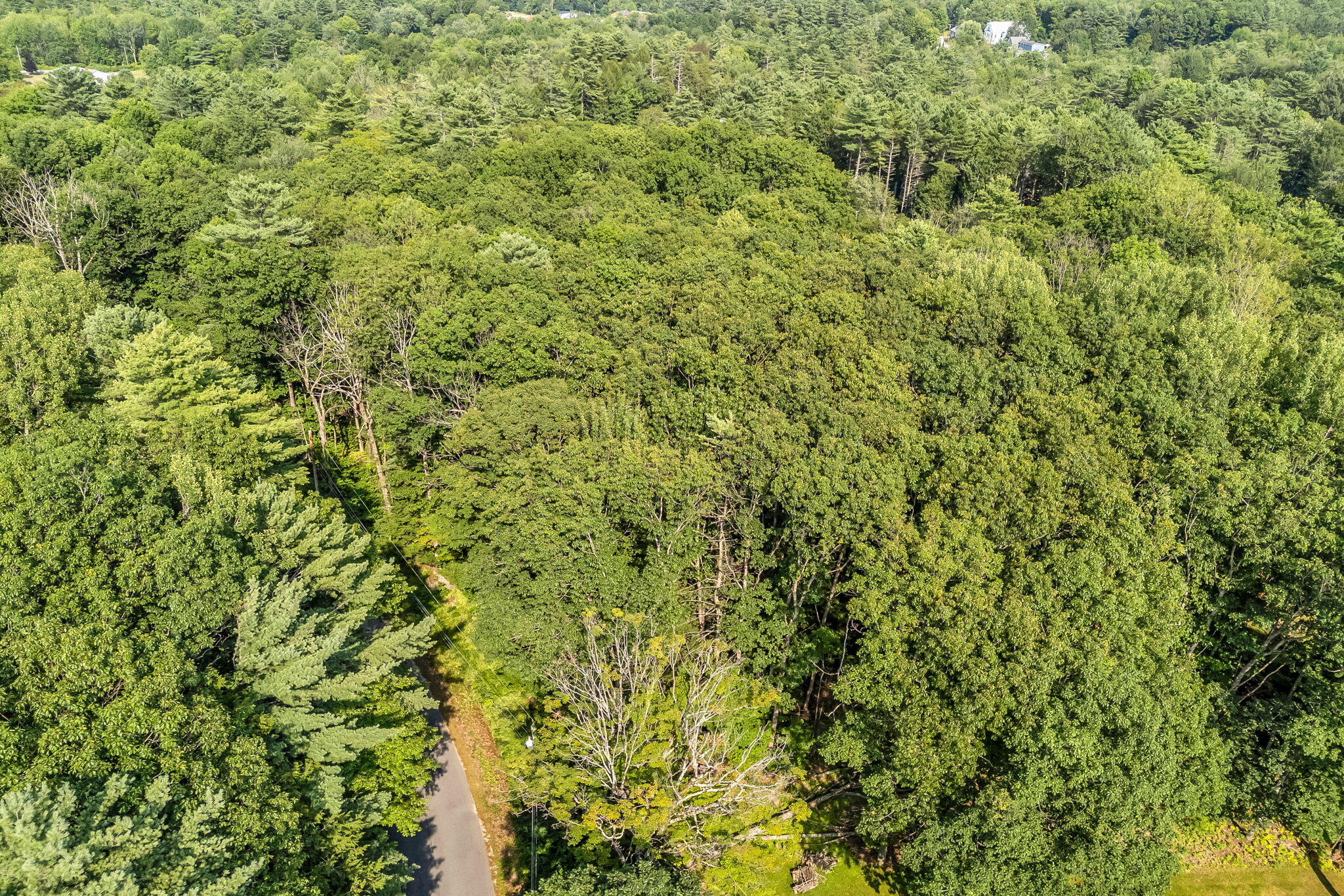 0 Sedgley Road Greene, ME 04236 - Photo 13 of 18 10-web-or-mls-sedgley-rd