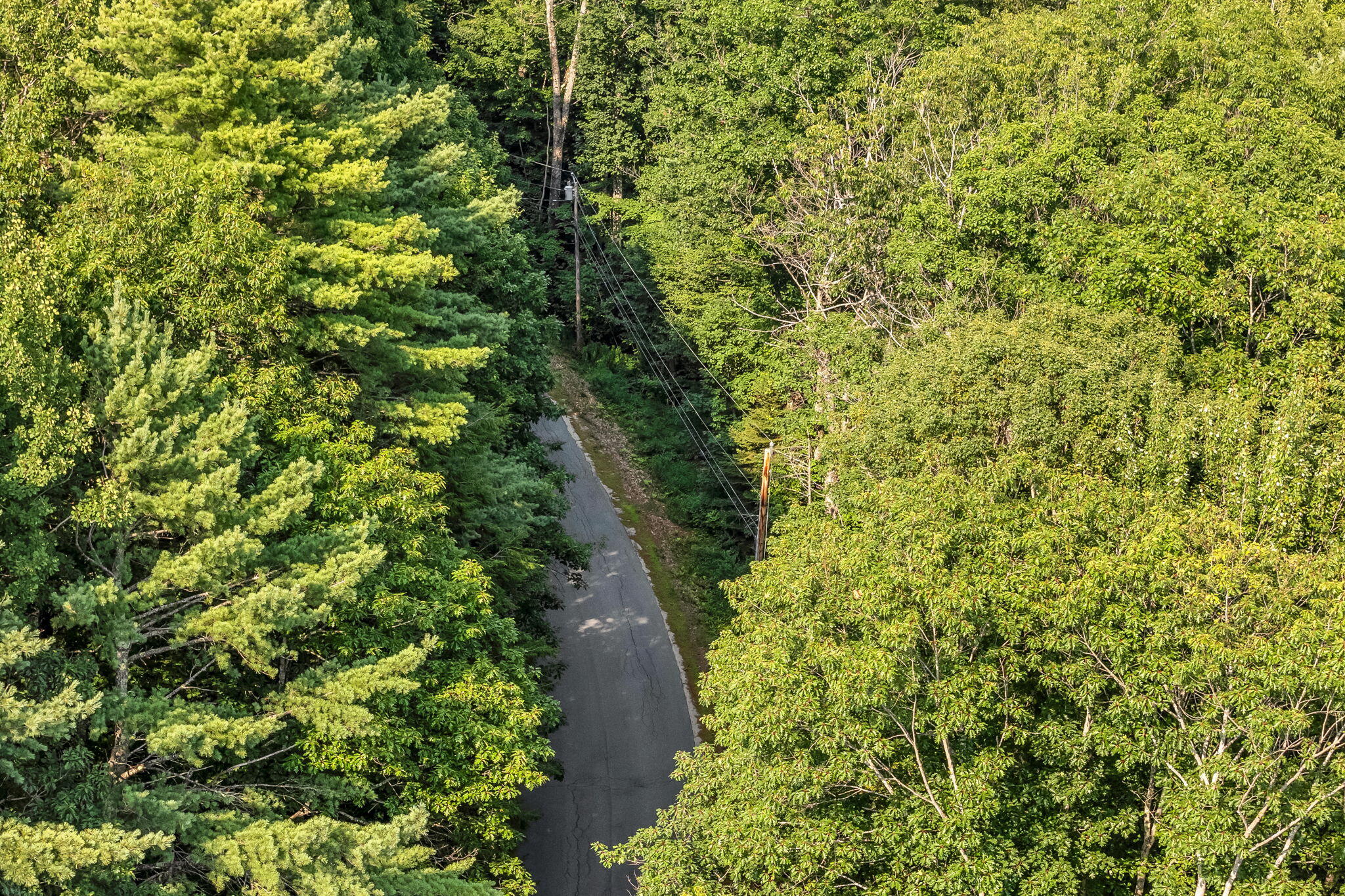 0 Sedgley Road Greene, ME 04236 - Photo 14 of 18 11-web-or-mls-sedgley-rd