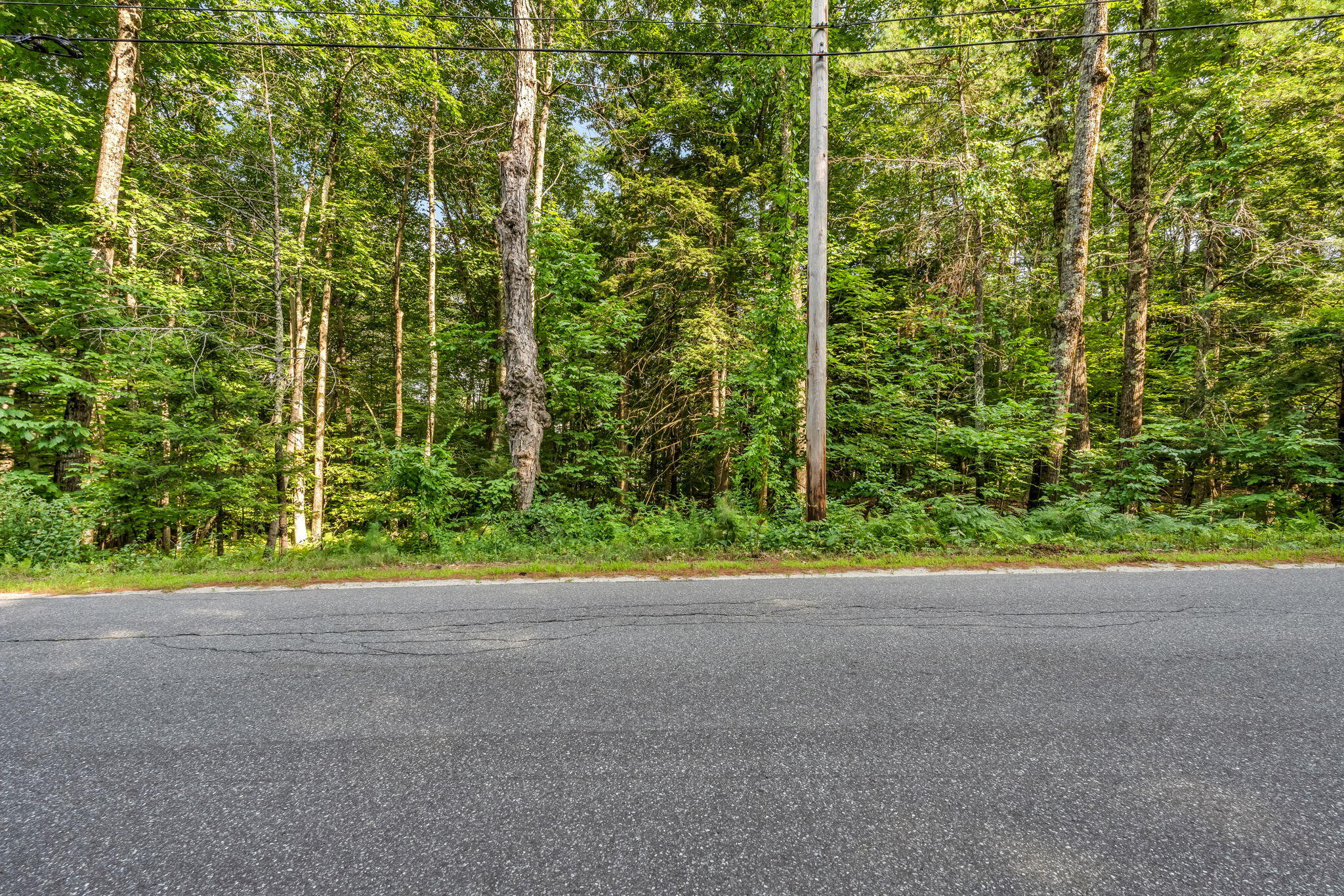 0 Sedgley Road Greene, ME 04236 - Photo 16 of 18 14-web-or-mls-sedgley-rd